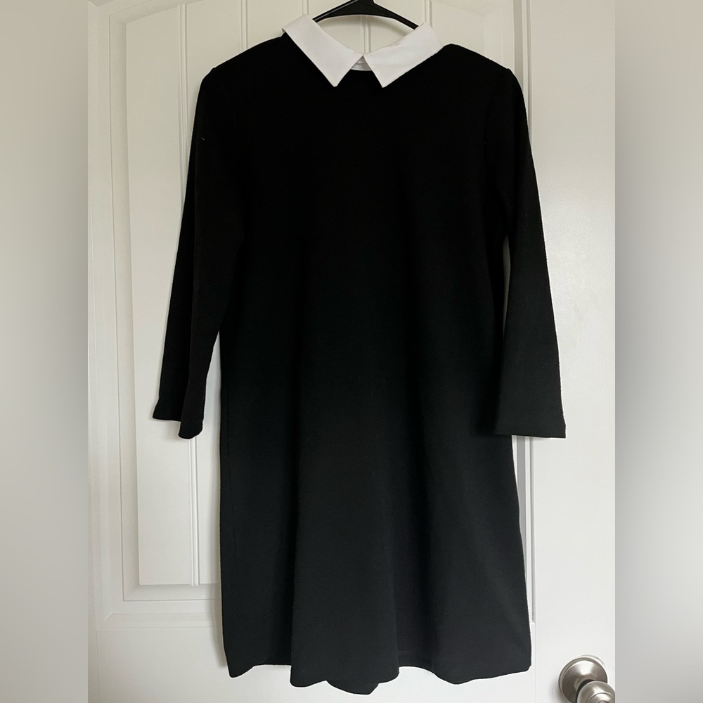 Zara Collared Dress